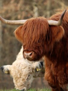 20240314182534_IMG_9170-01