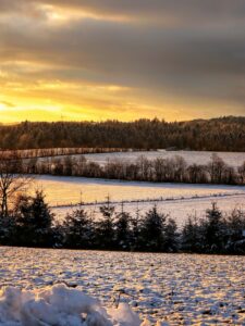 2026-03-07-20-03-11-740